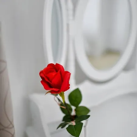 公寓 Family Amare 扎达尔